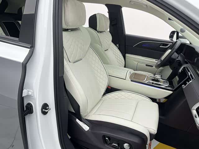 HongQi E-HS9 2023 car image #17