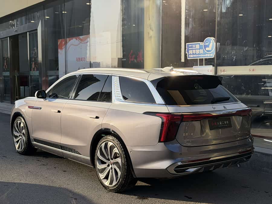 HongQi E-HS9 2022 imagen de coche #17