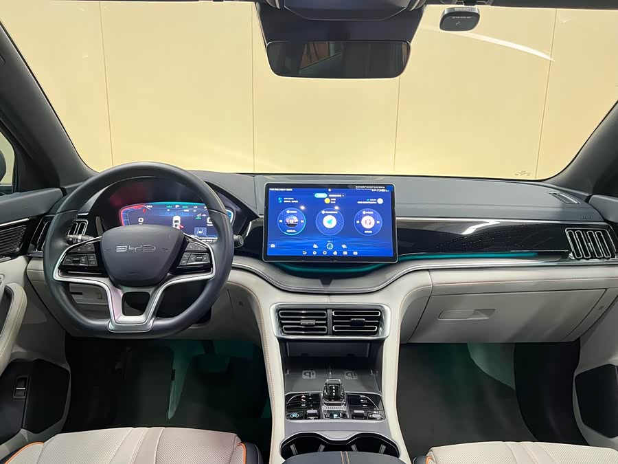 BYD Song Plus New Energy 2024 car image #17