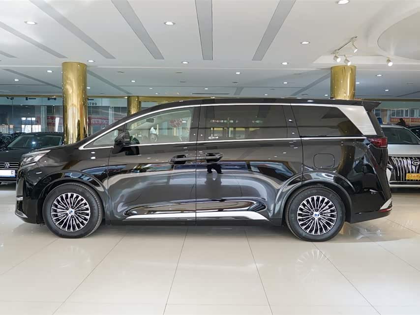 Denza D9 2024 imagem de carro #17