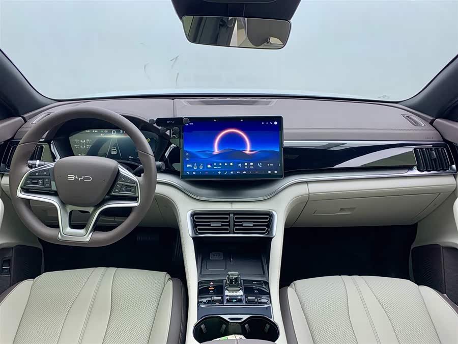 BYD Song Plus New Energy 2025 car image #17