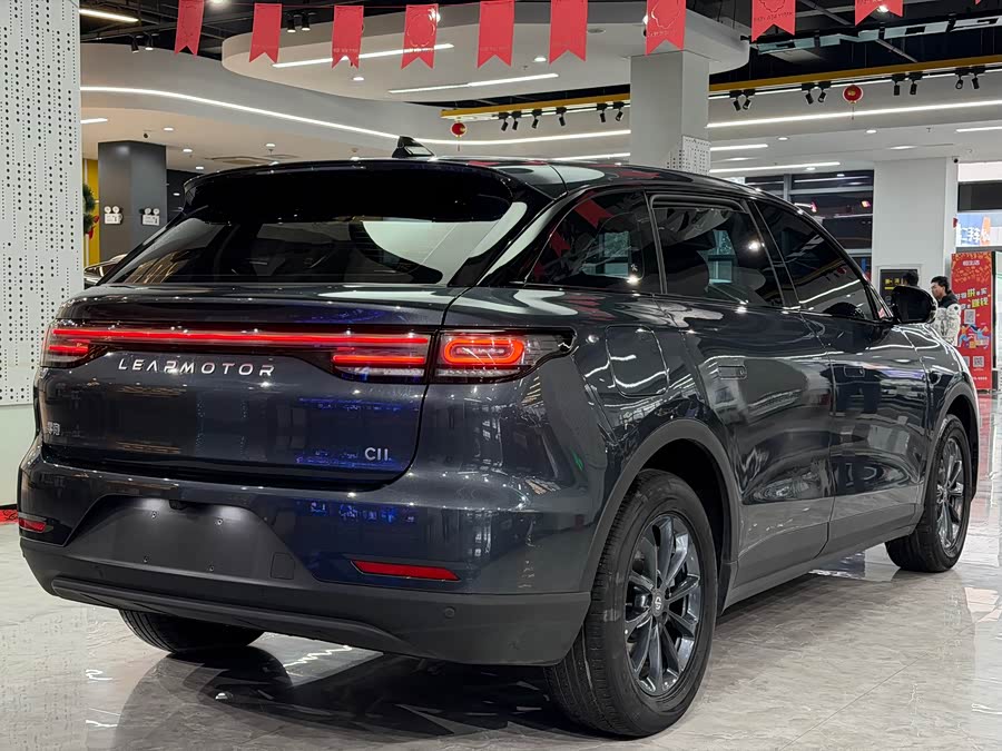 零跑汽车 零跑C11 2024 汽车图片 #17