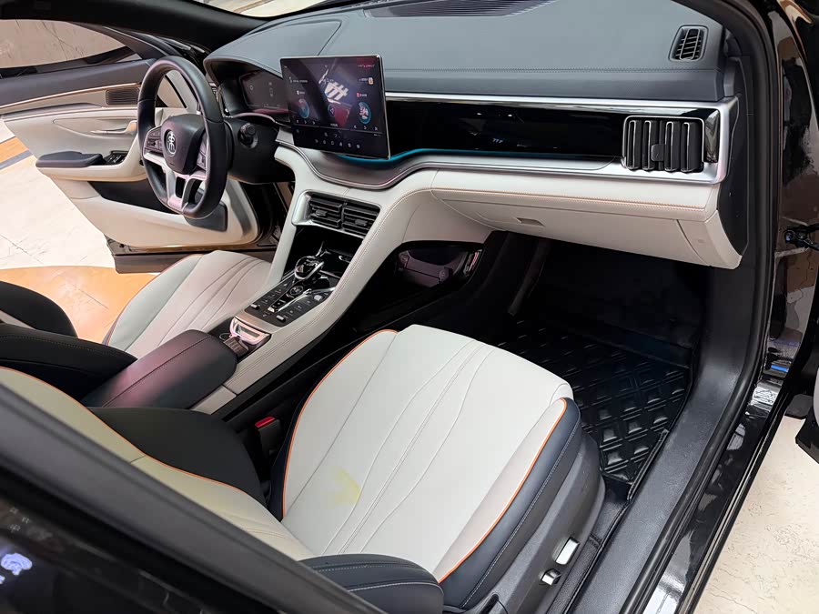 BYD Song Plus New Energy 2023 car image #17