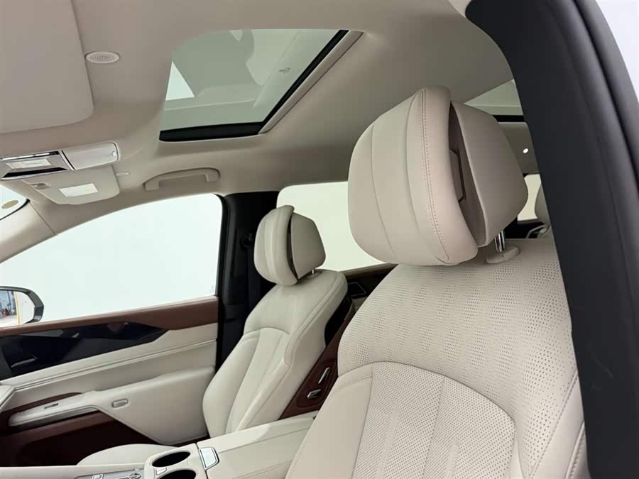 BYD Xia 2024 car image #17