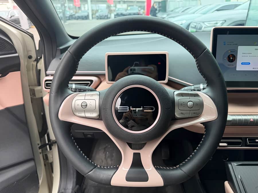 BYD Seagull 2023 imagen de coche #17