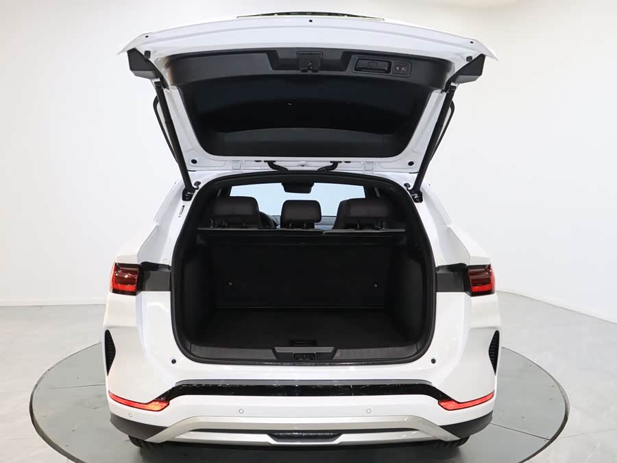 BYD Song Plus New Energy 2024 car image #17