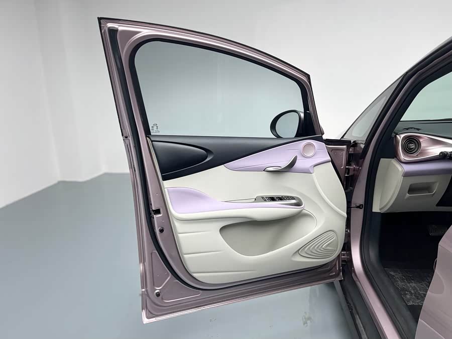 BYD Dolphin 2022 صورة سيارة #17