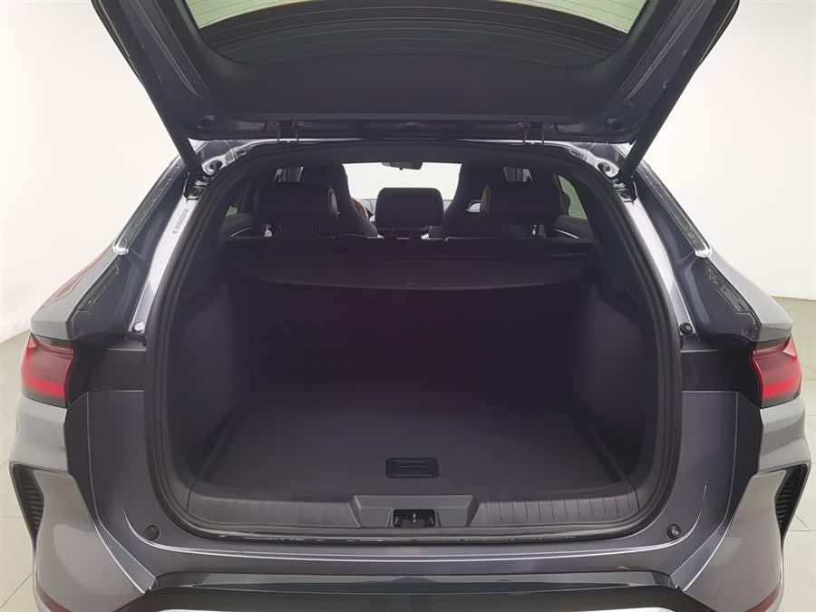 BYD Song Plus New Energy 2024 car image #17