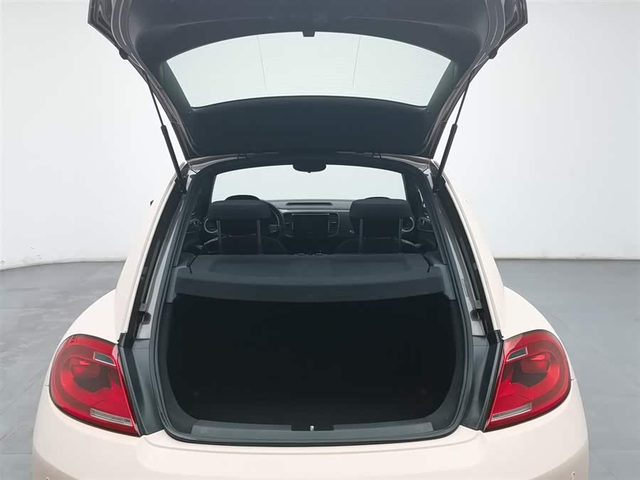 Volkswagen Beetle 2014 immagine di auto #17