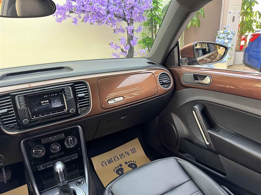 Volkswagen Beetle 2017 immagine di auto #17