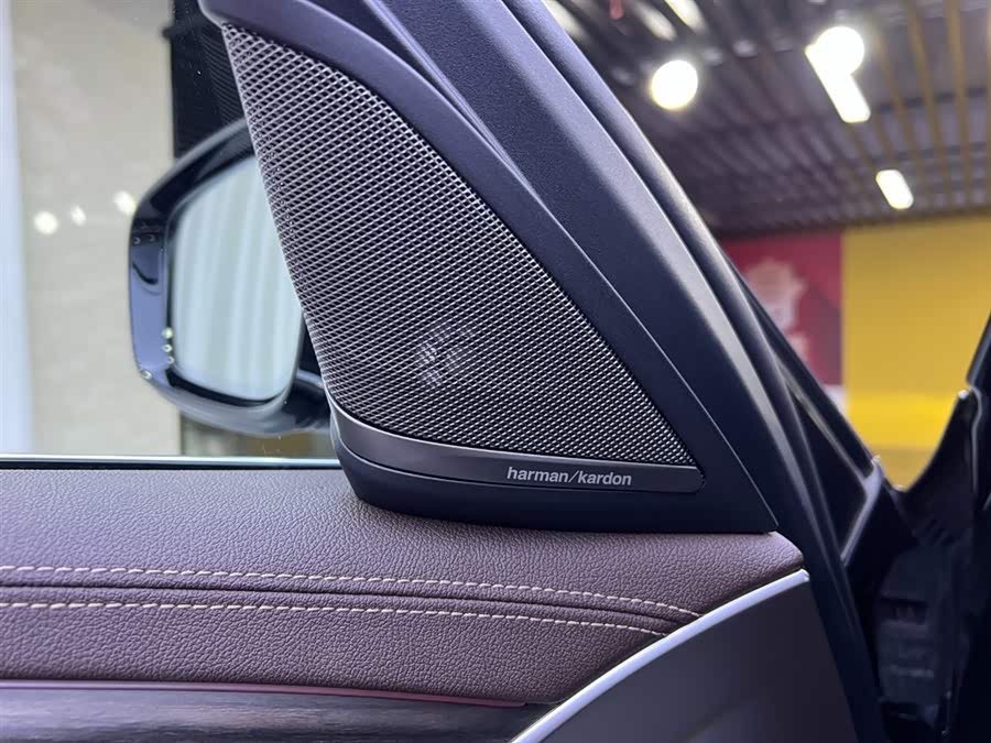 宝马 宝马5系 2020 汽车图片 #17