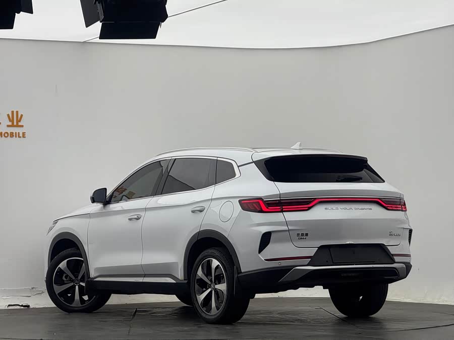 BYD Song Plus New Energy 2022 immagine di auto #17