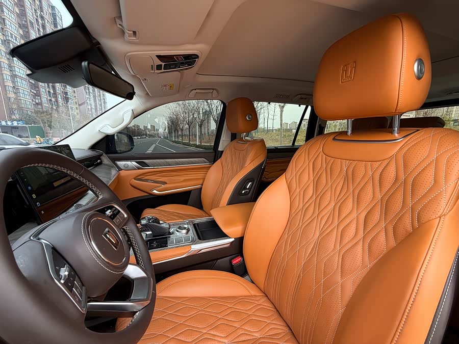 坦克 坦克500 2022 汽车图片 #17