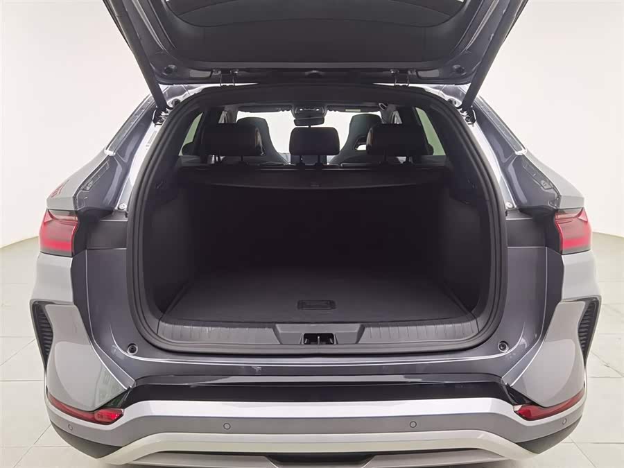 BYD Song Plus New Energy 2024 car image #17