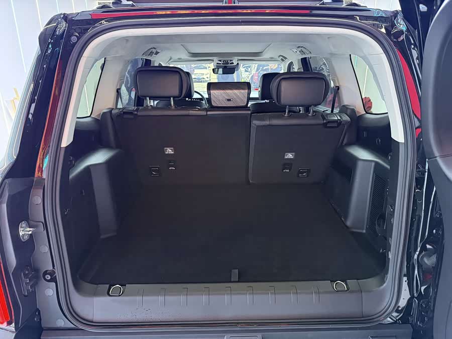 Tank 500 2022 immagine di auto #17