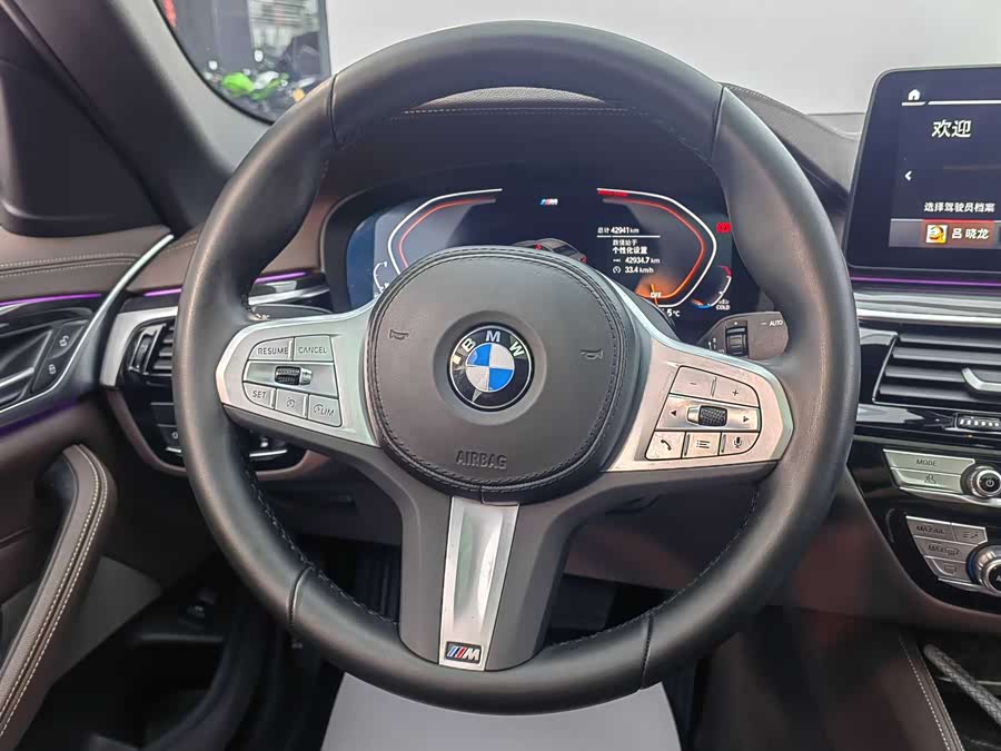 BMW 5 Series 2023 car image #17