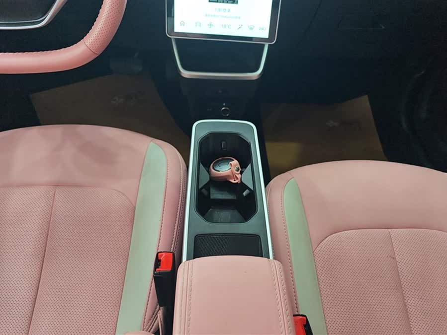 Neta V 2022 صورة سيارة #17