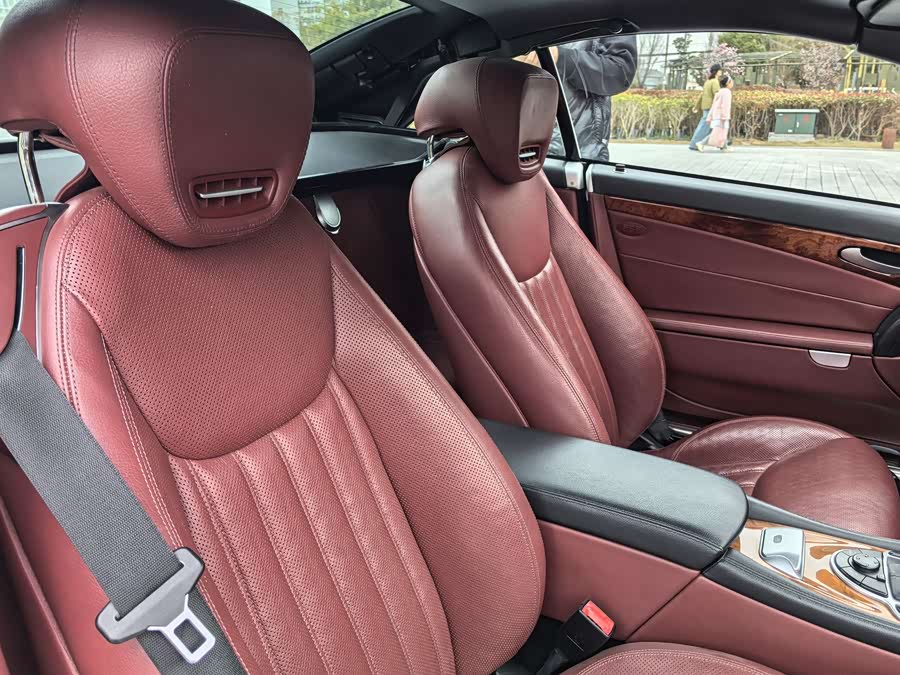 Mercedes-Benz SL Class 2010 immagine di auto #17