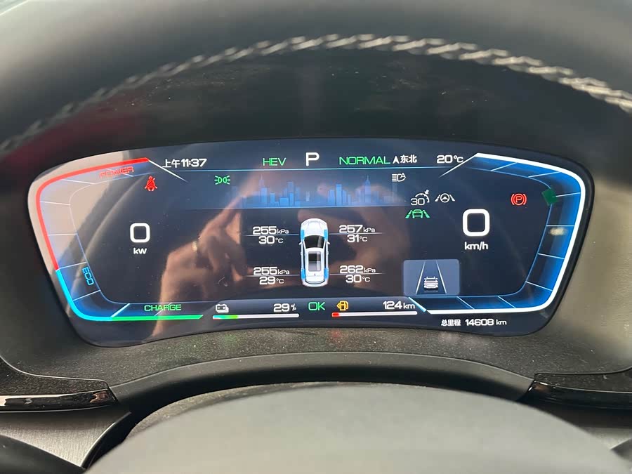 BYD Song Plus New Energy 2024 immagine di auto #17