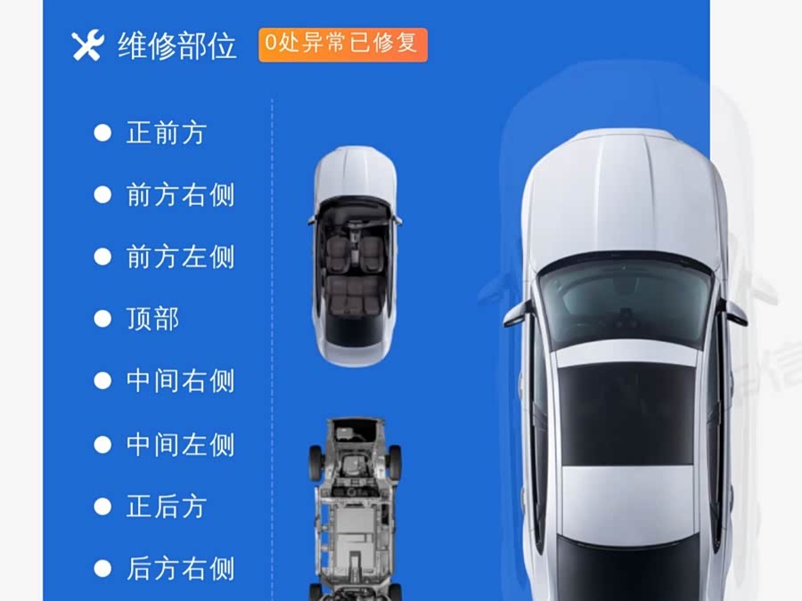 BYD Dolphin 2023 imagem de carro #17