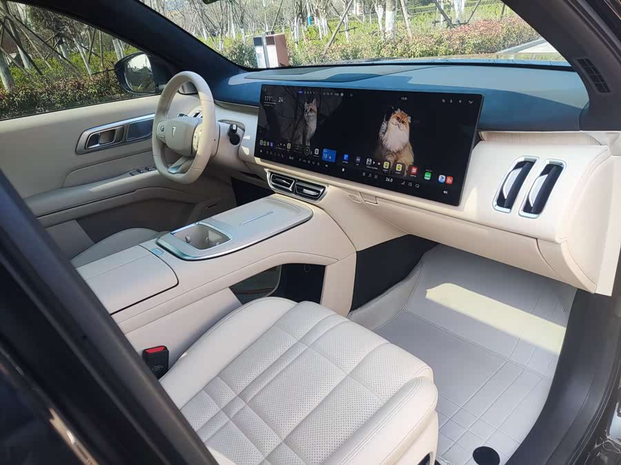 Deepal S09 2025 صورة سيارة #17