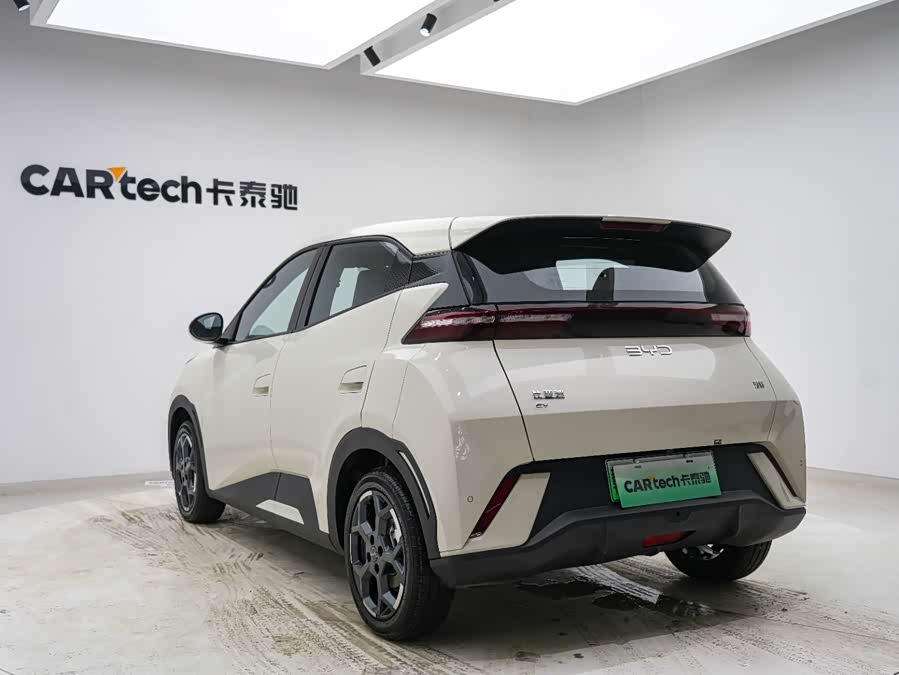 BYD Seagull 2025 car image #17