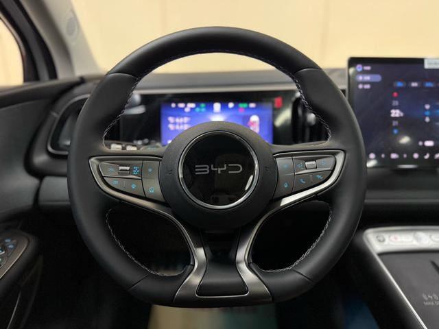 BYD Sea Lion 05 EV 2025 car image #17