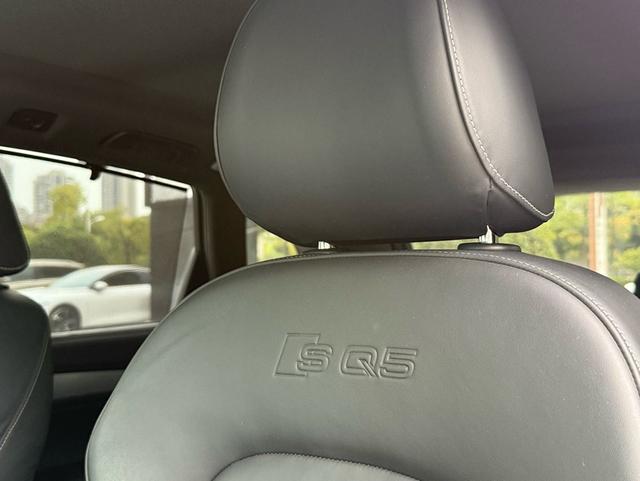 Audi SQ5 2016 #17 Audi SQ5 2016 image de voiture #17