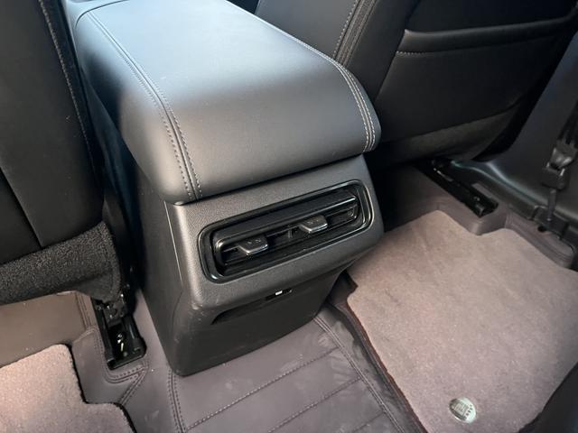 Haval Raptor 2025 immagine di auto #17