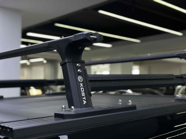 Great Wall Shanhai Pao 2024 car image #17