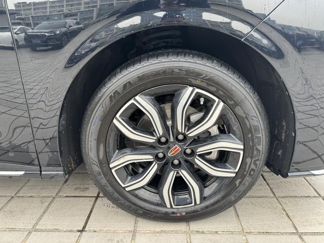 HongQi HQ9 2023 #17 HongQi HQ9 2023 car image #17