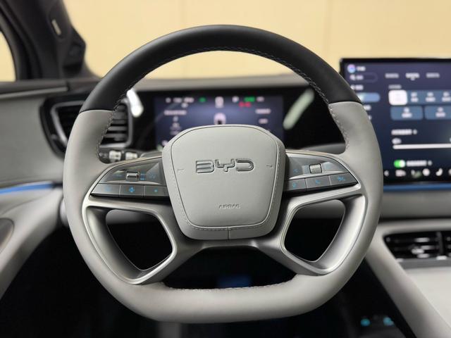 BYD Sea Lion 06 New Energy 2025 car image #17