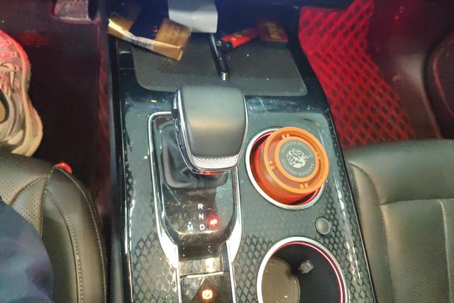 HongQi HS3 2023 immagine di auto #17