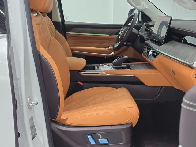 Tank 500 2024 car image #17