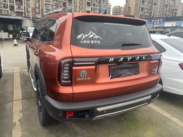 Haval X Dog / Dargo 2020 immagine di auto #17