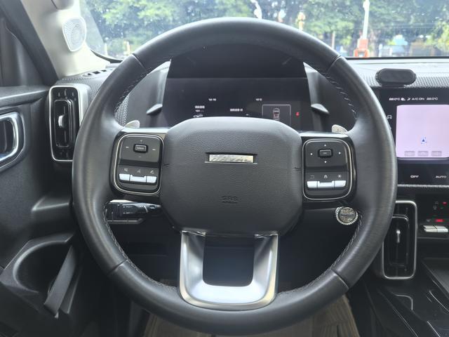 Haval X Dog / Dargo 2021 car image #17