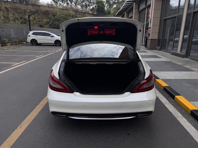Mercedes-Benz CLS Class 2015 car image #17