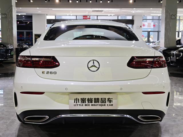 Mercedes-Benz E Class (Imported) 2023 car image #17