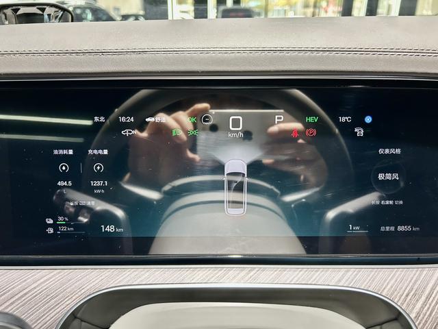 Denza N9 2025 car image #17