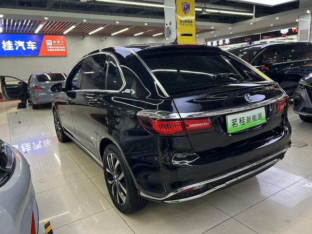 Denza DENZA 2018 car image #17