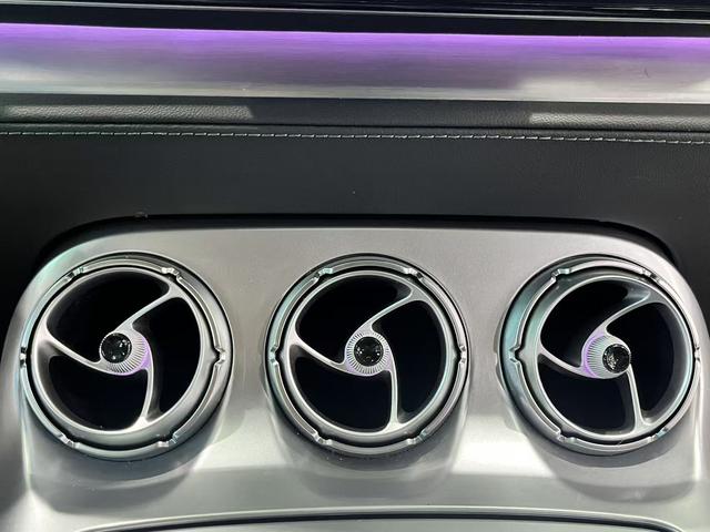 Denza X 2020 car image #17