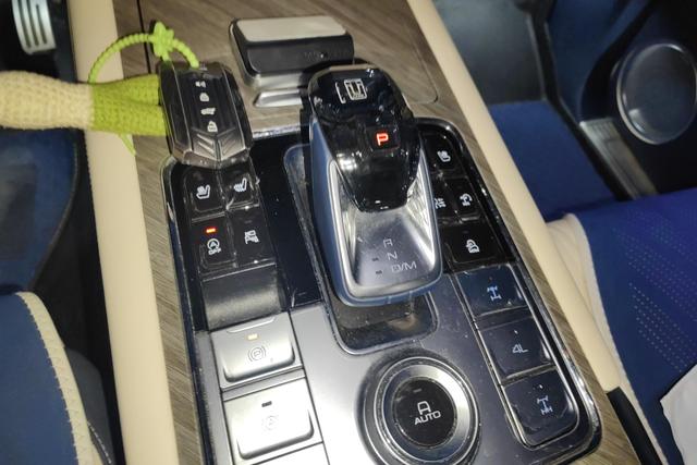 Tank 500 2022 imagen de coche #17