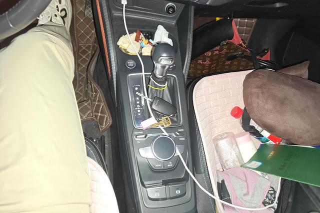 Audi Q2L e-tron 2020 car image #17