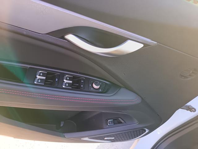 GEELY Tugella S 2021 car image #17