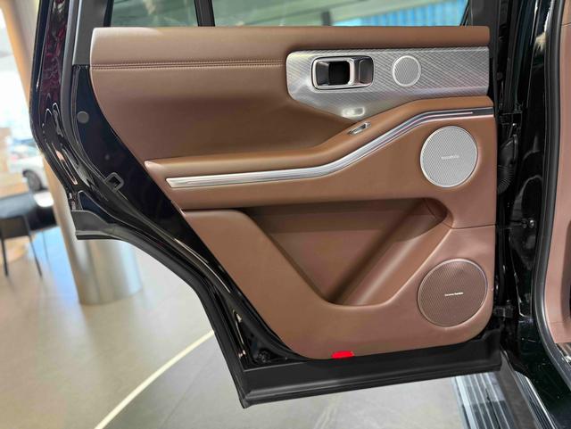 Tank 700 New Energy 2024 immagine di auto #17