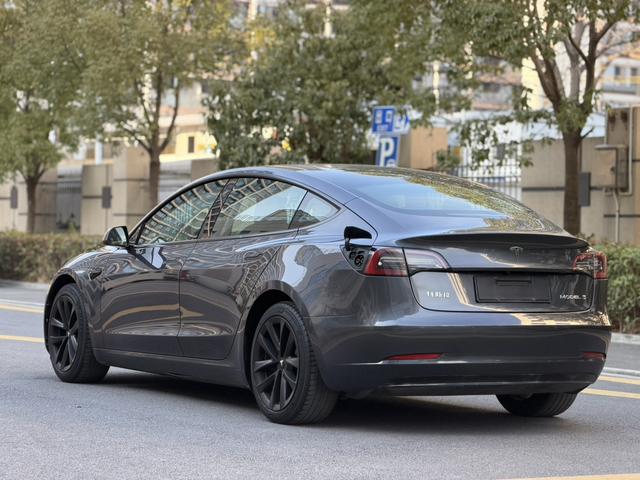 Tesla Model 3 2020 car image #17
