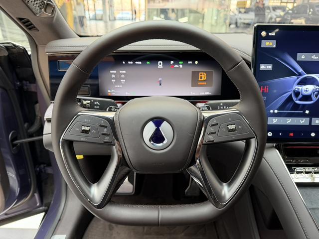 Denza 2024 imagem de carro #17