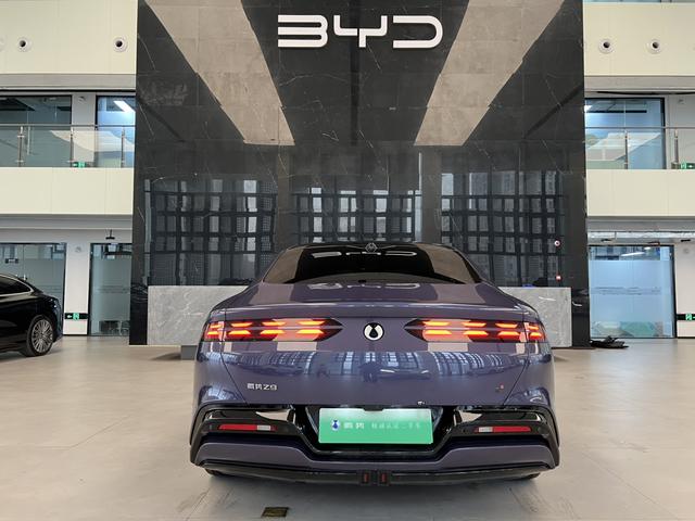 Denza 2024 immagine di auto #17