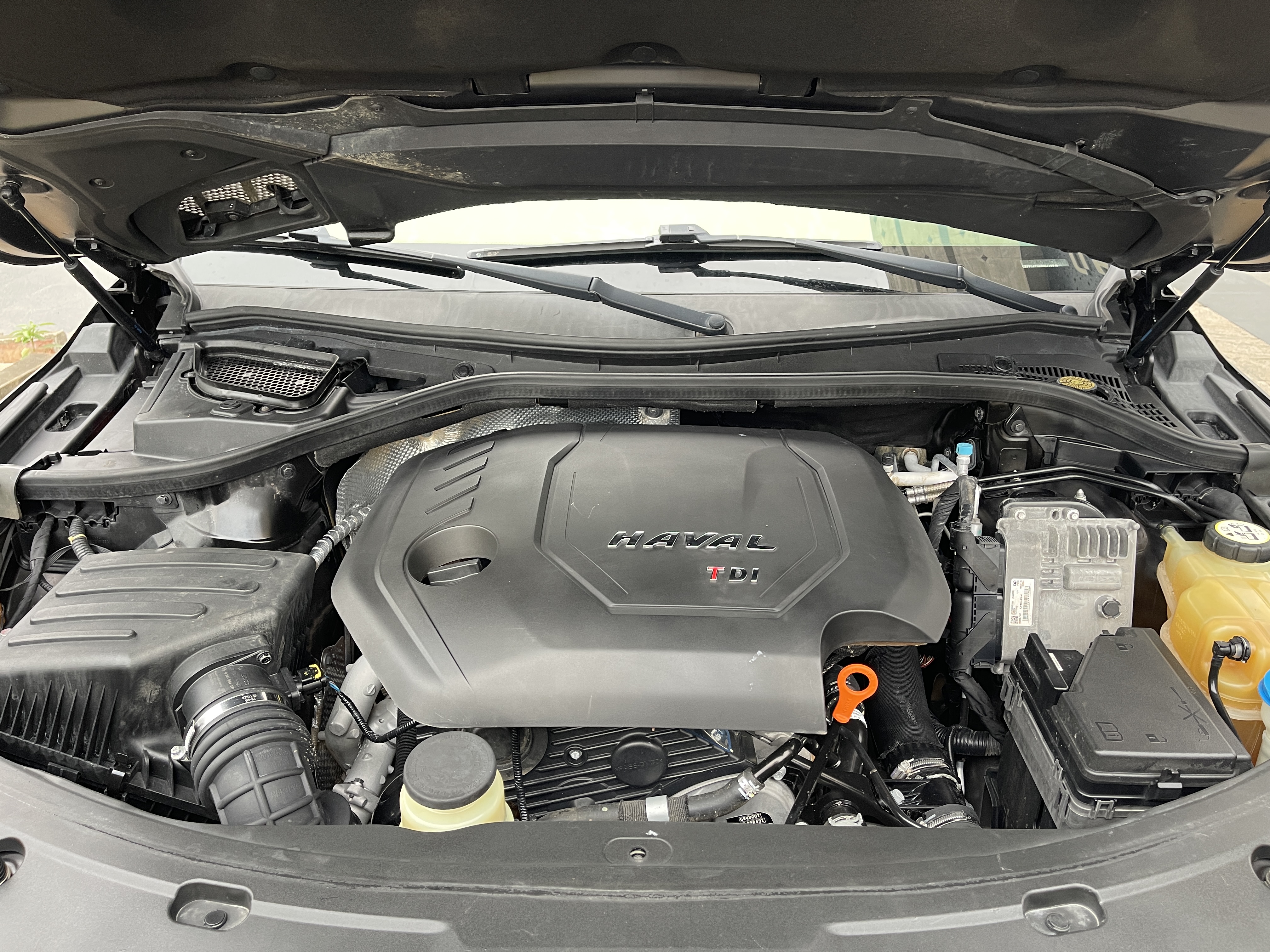 Haval H8 2017 #17 Haval H8 2017 car image #17