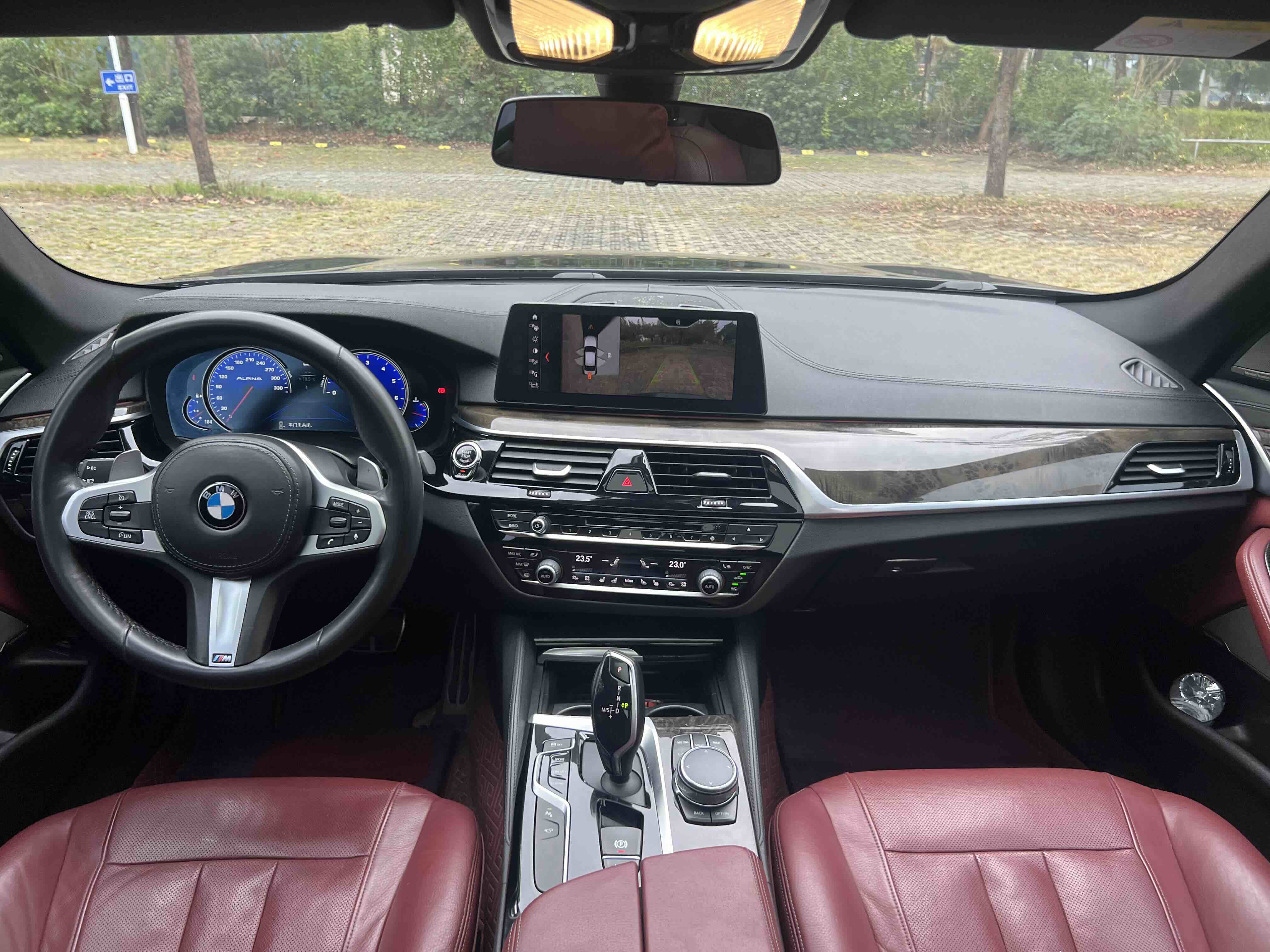 BMW 5 Series 2017 car image #17